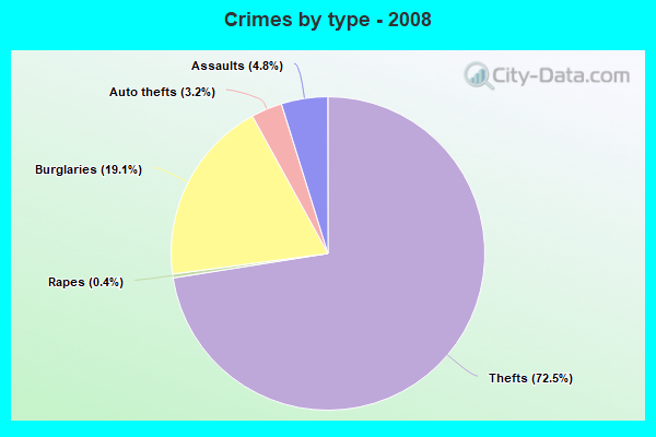 Crimes by type - 2008