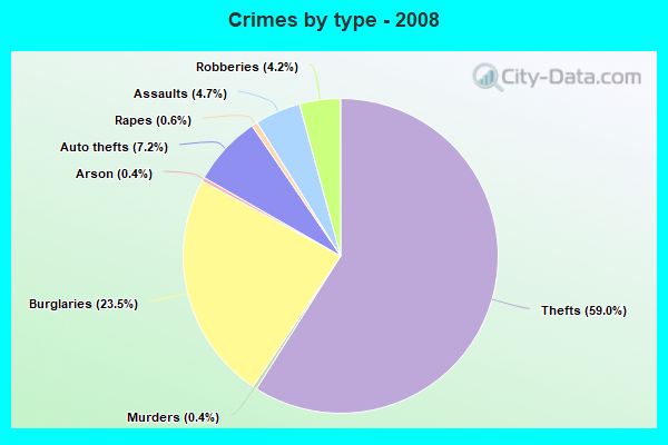 Crimes by type - 2008