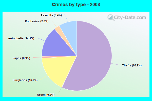 Crimes by type - 2008