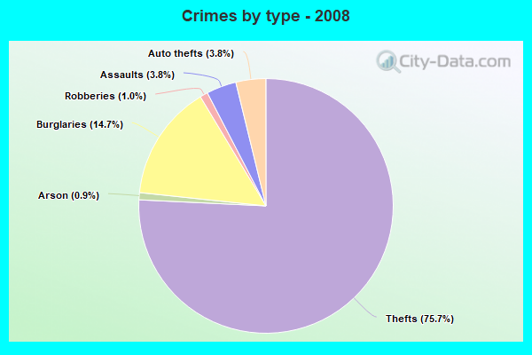 Crimes by type - 2008