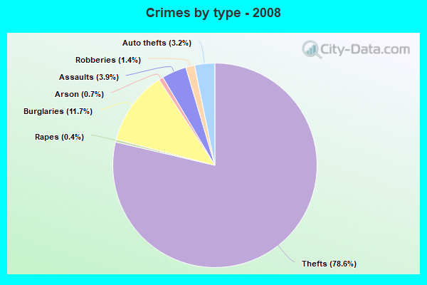 Crimes by type - 2008