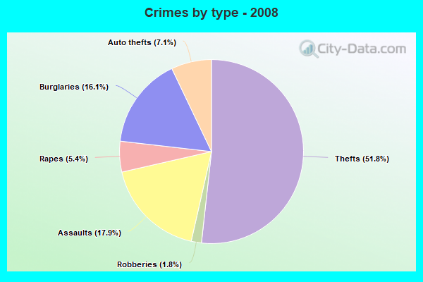 Crimes by type - 2008