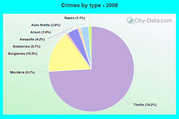 Crimes by type - 2008