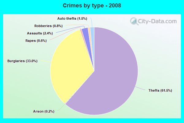 Crimes by type - 2008