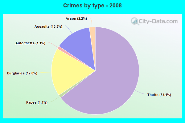 Crimes by type - 2008