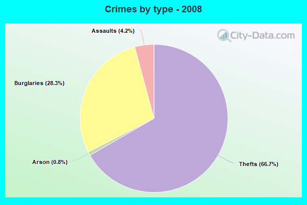 Crimes by type - 2008