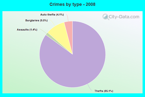 Crimes by type - 2008