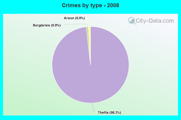 Crimes by type - 2008