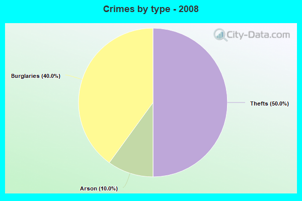 Crimes by type - 2008