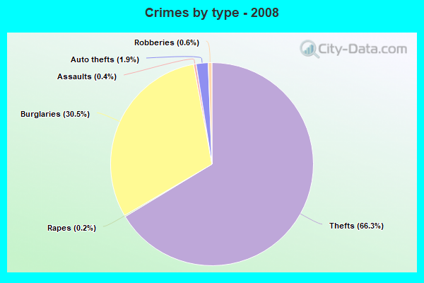 Crimes by type - 2008