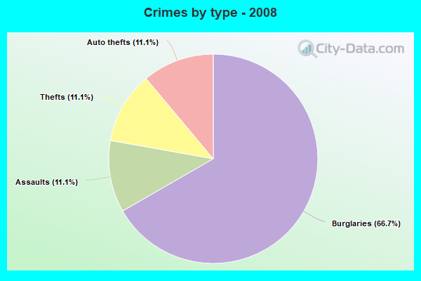 Crimes by type - 2008