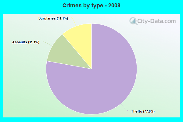 Crimes by type - 2008