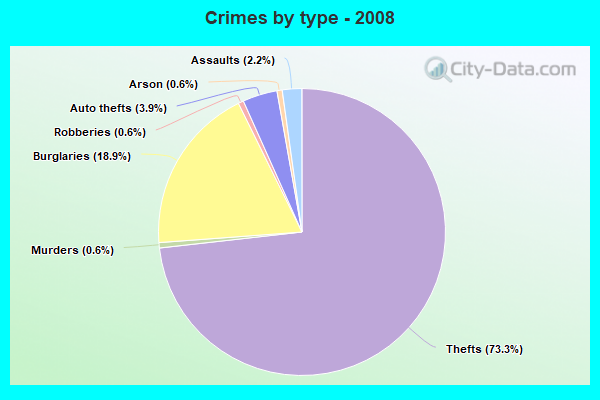 Crimes by type - 2008