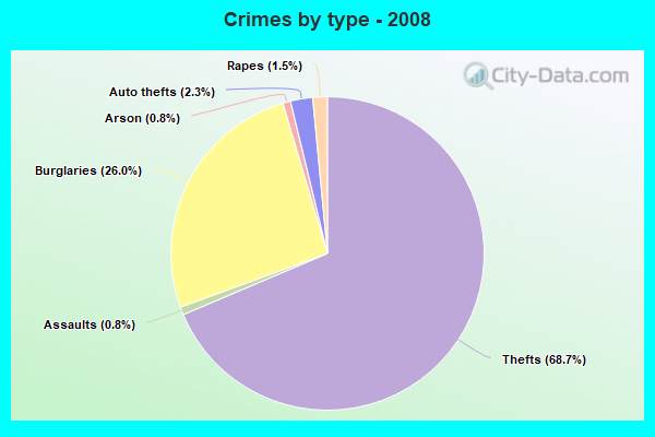 Crimes by type - 2008