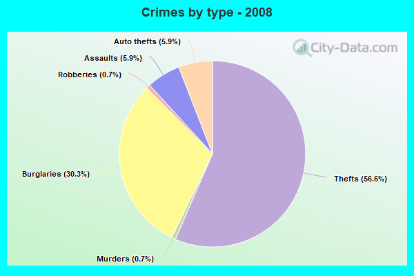 Crimes by type - 2008