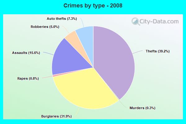 Crimes by type - 2008