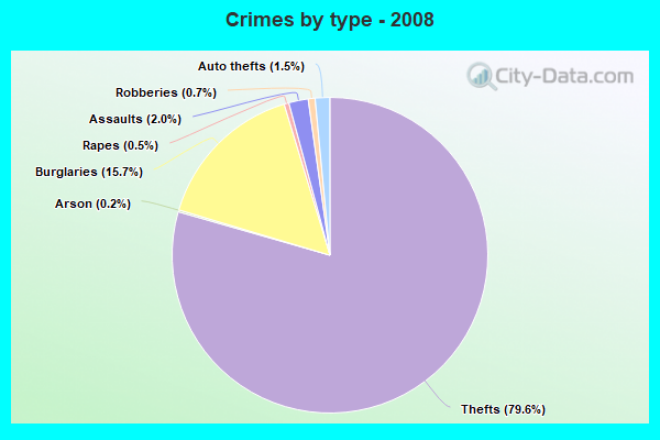 Crimes by type - 2008