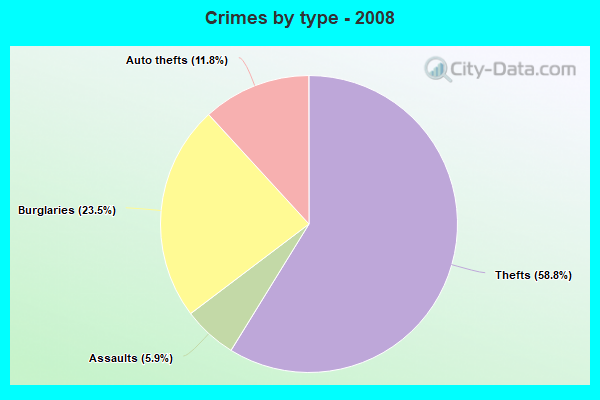 Crimes by type - 2008