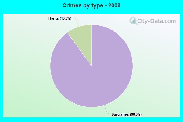 Crimes by type - 2008