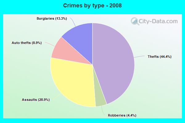 Crimes by type - 2008