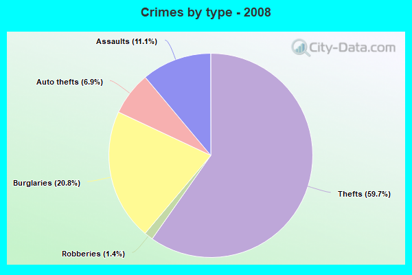 Crimes by type - 2008