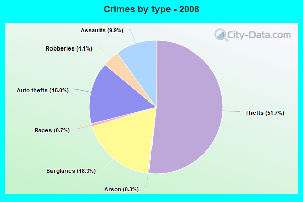 Crimes by type - 2008