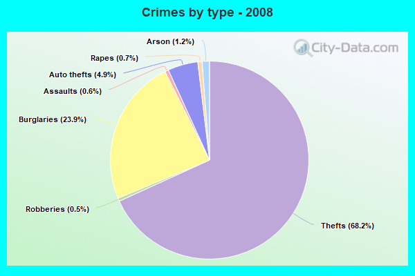 Crimes by type - 2008