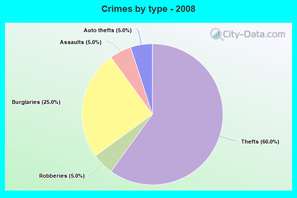 Crimes by type - 2008