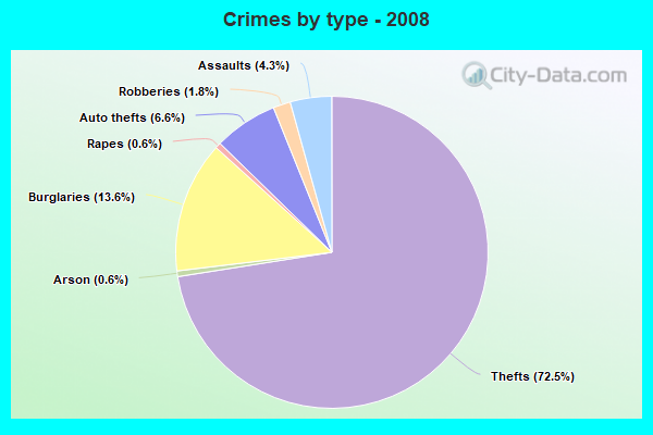 Crimes by type - 2008