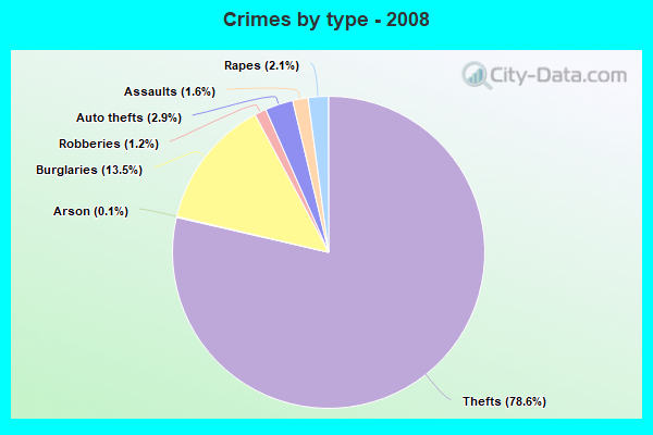 Crimes by type - 2008