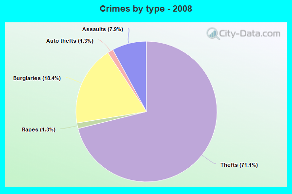 Crimes by type - 2008