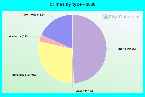 Crimes by type - 2008