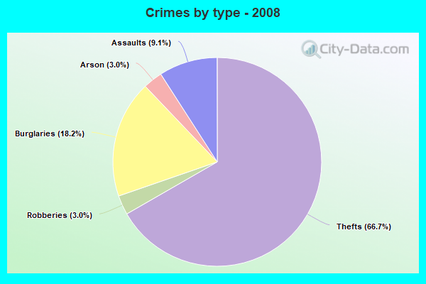 Crimes by type - 2008