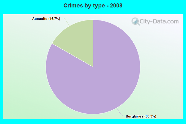 Crimes by type - 2008