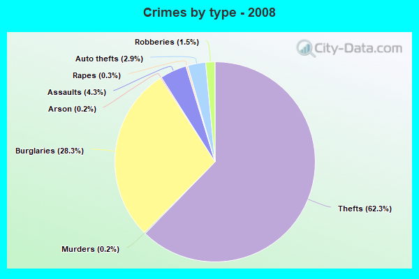 Crimes by type - 2008