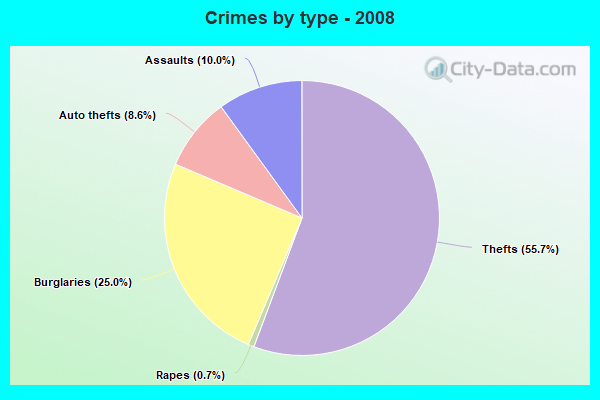 Crimes by type - 2008