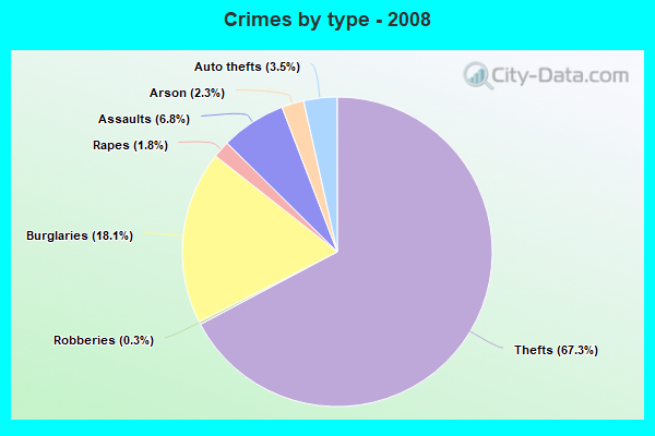 Crimes by type - 2008