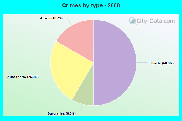 Crimes by type - 2008