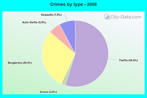 Crimes by type - 2008