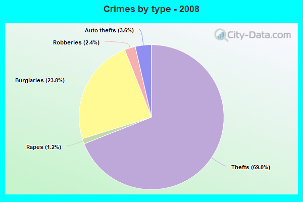 Crimes by type - 2008