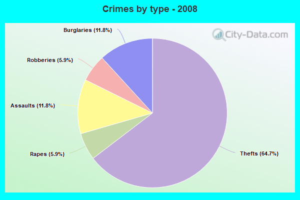 Crimes by type - 2008