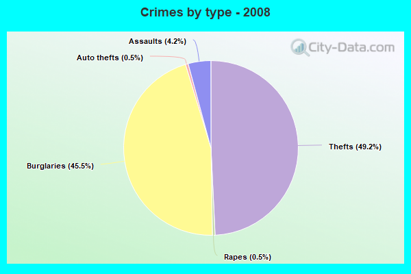 Crimes by type - 2008