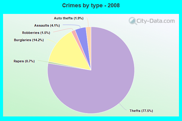 Crimes by type - 2008