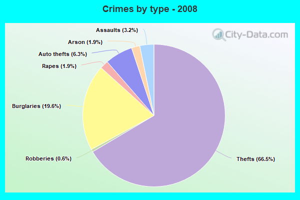 Crimes by type - 2008