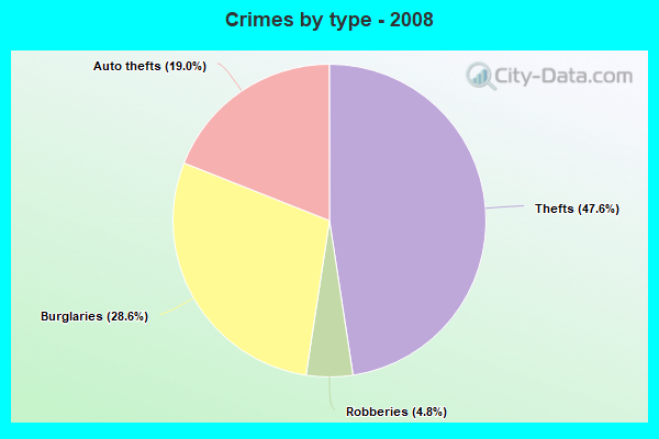 Crimes by type - 2008