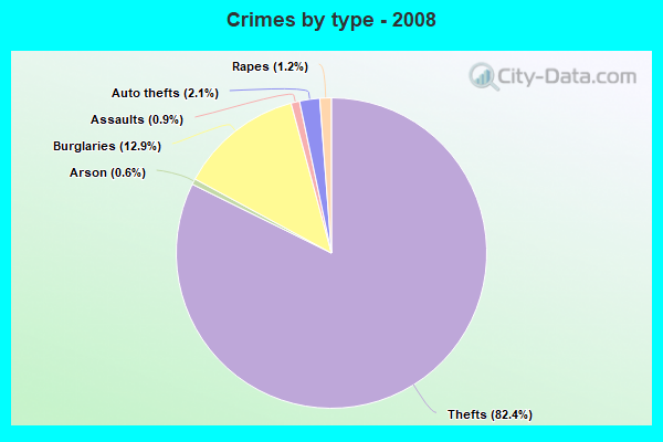 Crimes by type - 2008