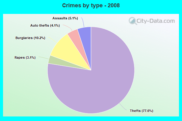 Crimes by type - 2008