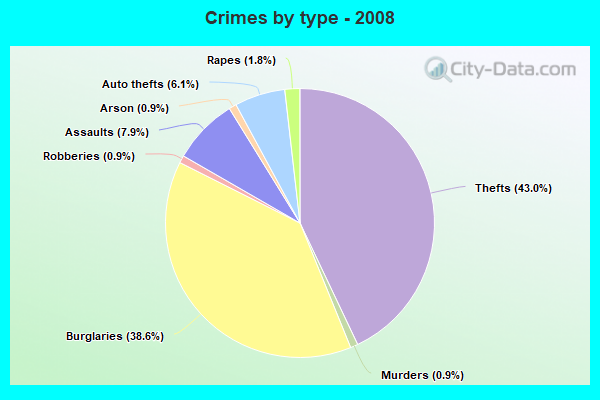 Crimes by type - 2008