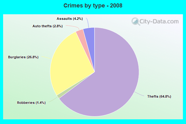 Crimes by type - 2008