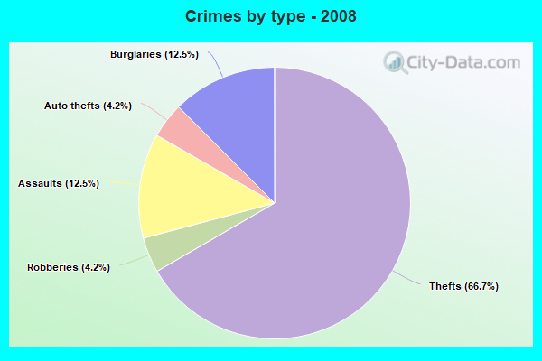 Crimes by type - 2008